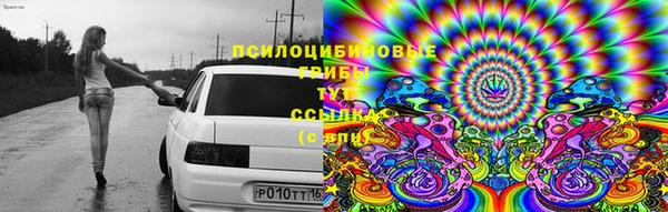 стафф Вязники